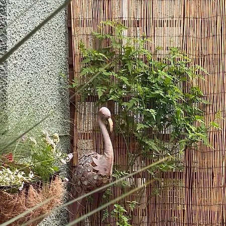 The On The Moor Hotel