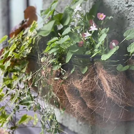 Hotel The On The Moor 3*